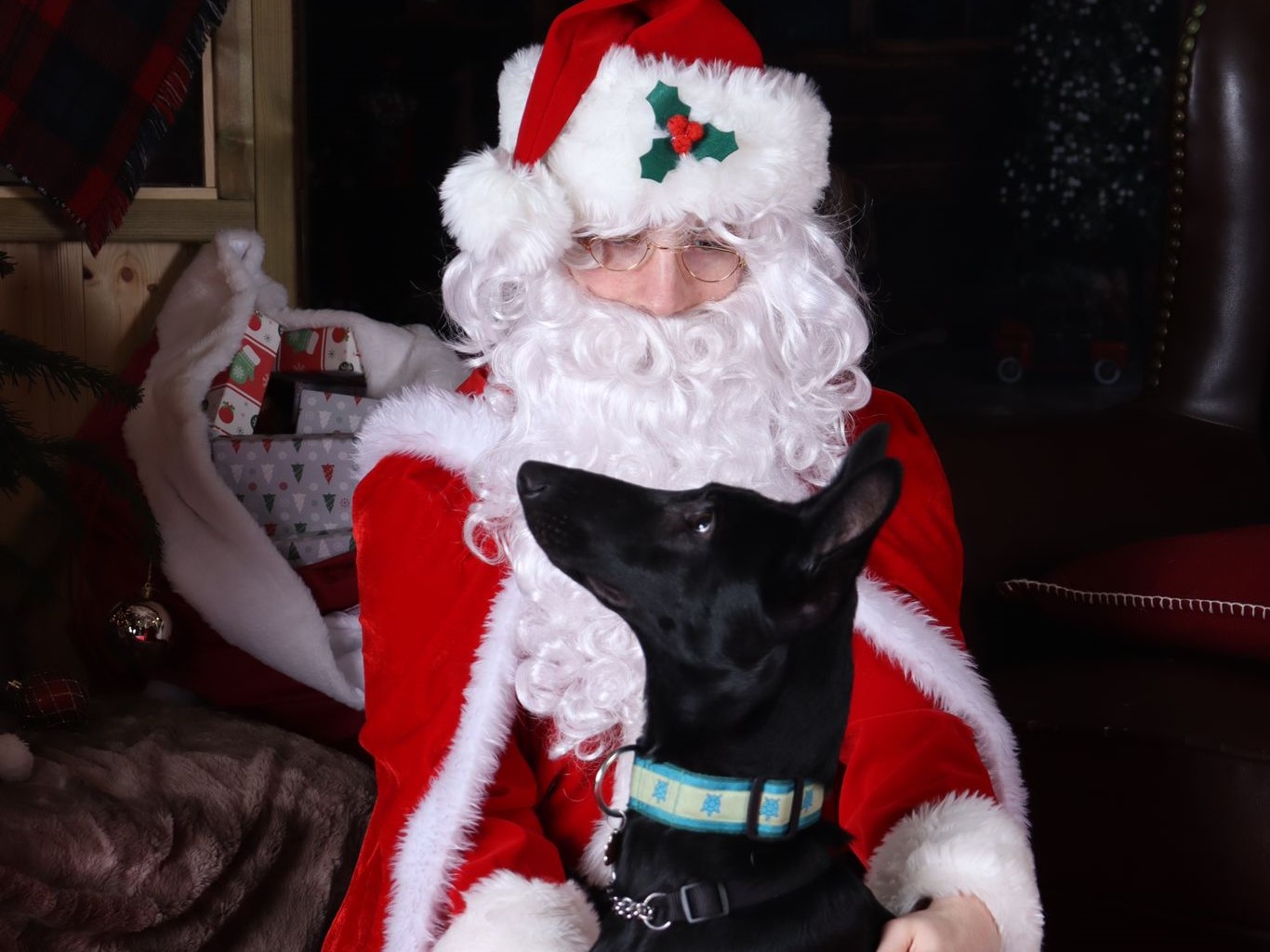 Santa with dog